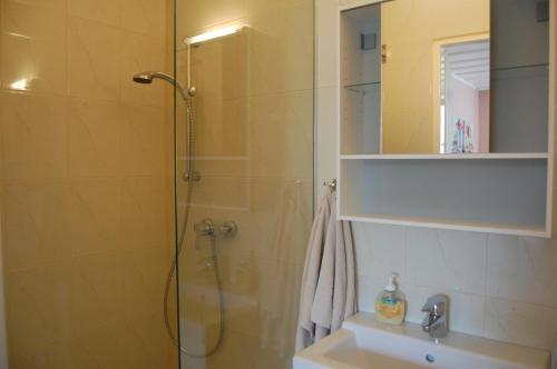 eine Dusche mit einer Glastür neben einem Waschbecken und einem Spiegel in der Unterkunft Hofgassl Zentgraf in Mörbisch am See