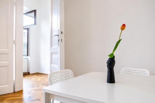 Cozy 2BR Apt with TV & Netflix, Steps from AKH