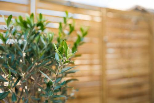 GuestReady - Charming retreat in Matosinhos
