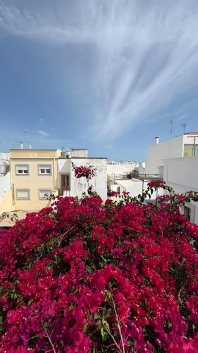 Casa Opala Townhouse With Pool