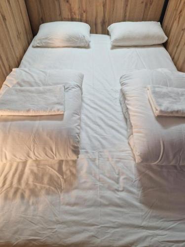 Adria Apt