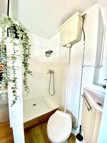 Studio solo cosy, cœur de Nice, gare 3 min