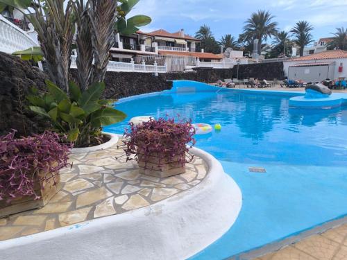 Paraíso Royal Apartamento