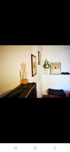 VINTAGE APARTMENT Florence