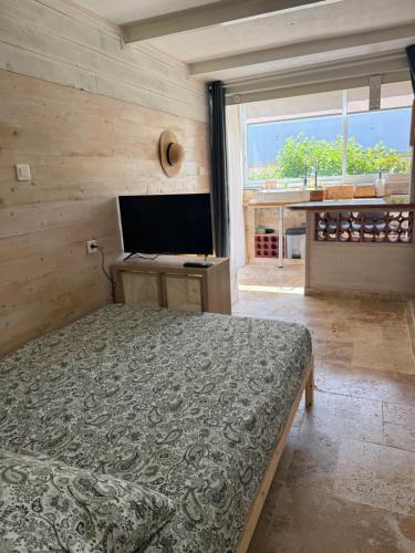 Studio Rez de jardin Hyères plage accès plage 5 minutes à pieds