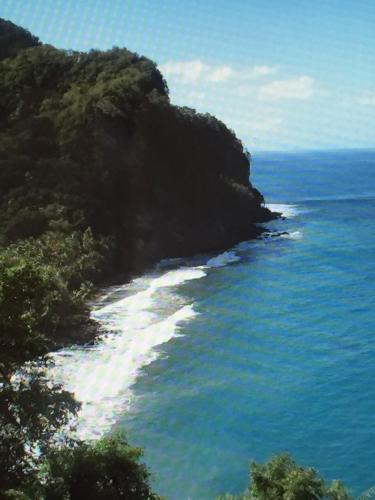 a view of the ocean from a cliff at BRIN d AMOUR COTE ATLANTIQUE voir site vacances en martinique in La Trinité