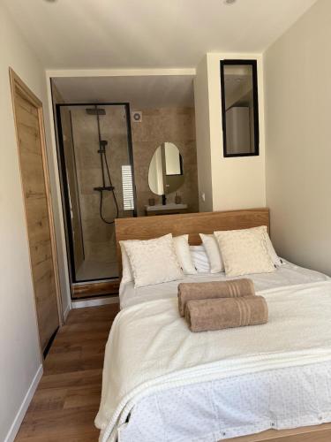 Appartement-Hypercentre-Corps Saints-clim