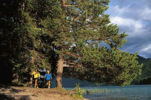 two people standing under a tree next to a lake at Landhaus Sonneck in Weissensee