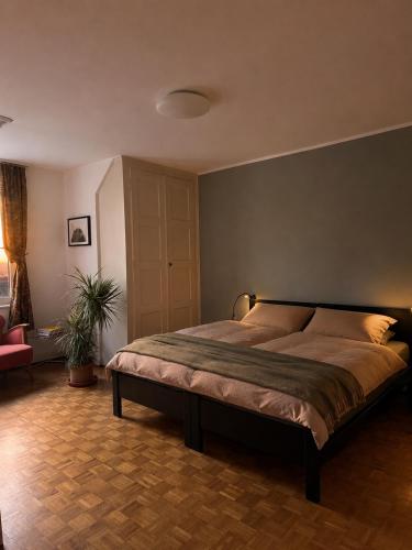 Basel City Apartment