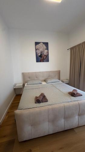 Central nude oasis 2