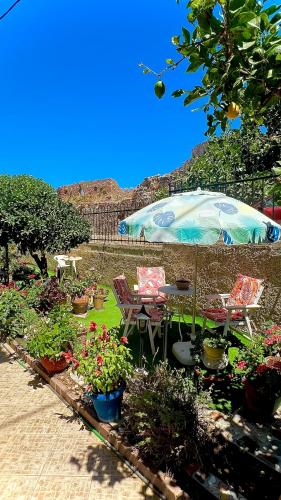 Kiki's house in the castle
