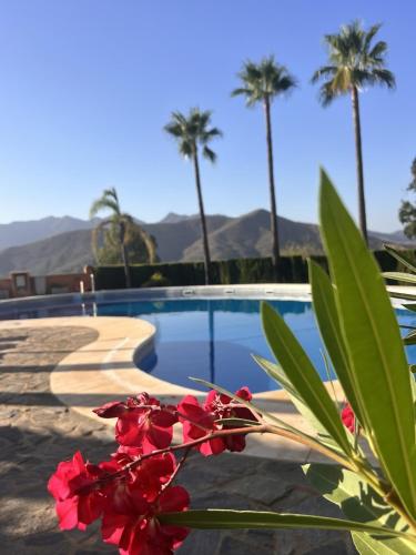 Marbella Hills Private Luxury Suite and Terrace