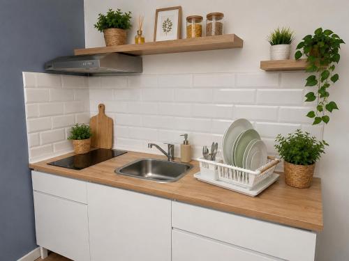 Apartments in Trastevere