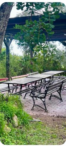T1 Apartment in Tavira Garden