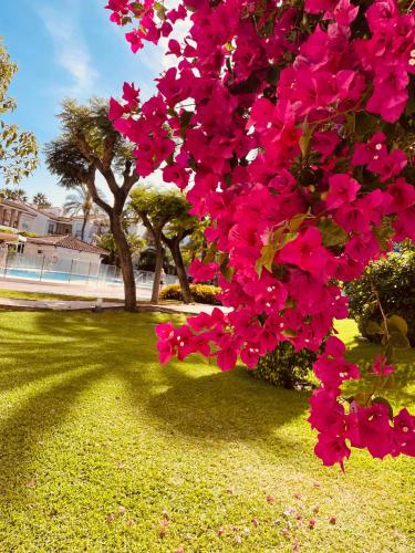 Hacienda Beach Estepona - Bajo con jardín y acceso a la playa