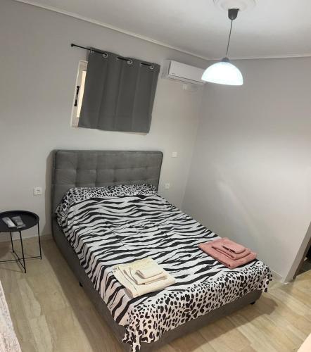 Apartment 50 meters from the sea
