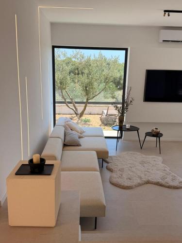 Villa Olea