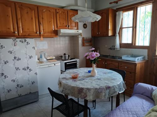 Diogenis flat apartment 70m2 near town center