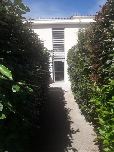 Ariane's Flat in Provence