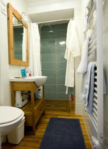 une salle de bain avec un lavabo, des toilettes et une douche dans l'établissement Chambres d'Hôtes Les Foulons, à Douai