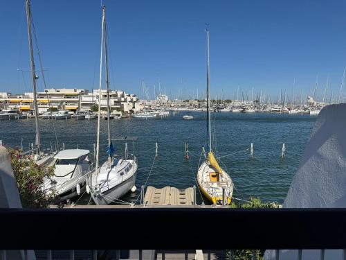 Marina T2 et cabine Port-Camargue, piscine et vue mer