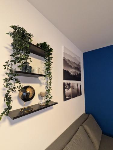 Appartement cozy proche du centre de Strasbourg