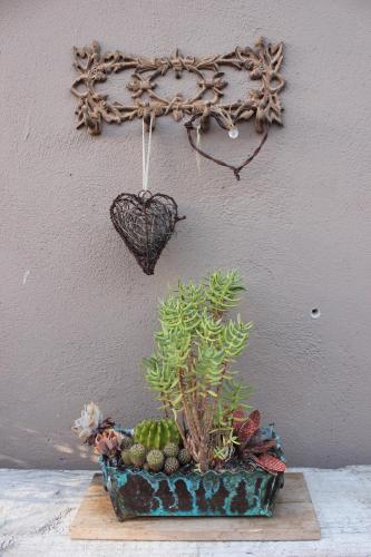 a plant in a planter with a heart on a wall at 25 on Fitzpatrick in Parow