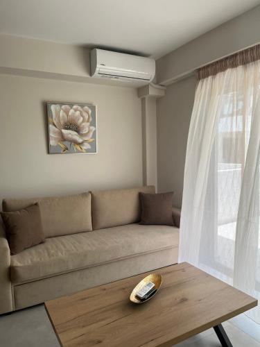 paloma suites