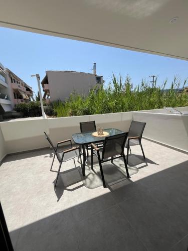 paloma suites