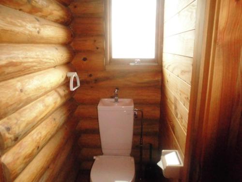 Log Cottage Villa Happo tesisinde bir banyo