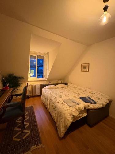 Cosy room in attic flat in the center of Zurich