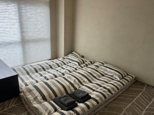 301 Convenient to Sky Tree and Asakusa!Free Wifi!3F