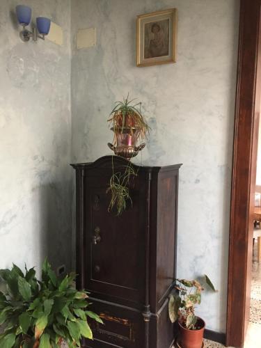 a wooden cabinet with potted plants on top of it at Due Papi in Savona