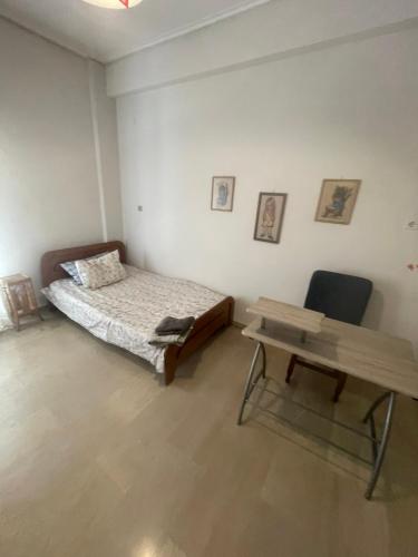 Acropolis view 3 shared room2