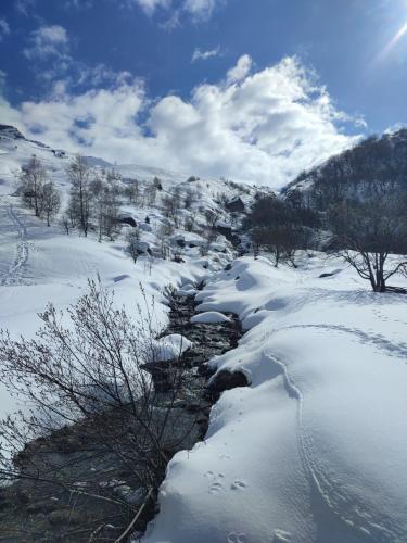 Les Bruyères - Pied des pistes - Studio