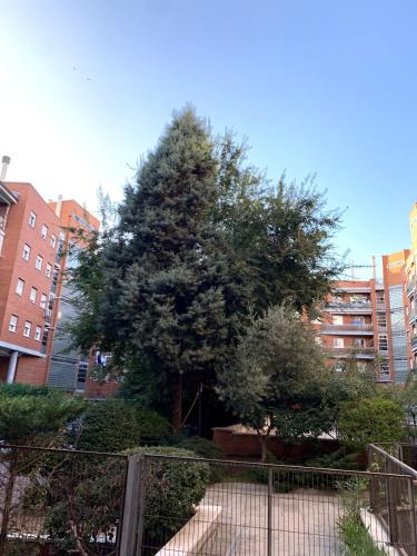 Moderno Apartamento Cerca de Las Ventas