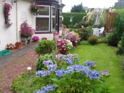 a garden with purple flowers in front of a house at Rutland cottage in Largs