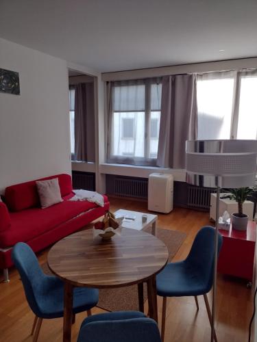 Cozy and Central flat in downtown Zurich