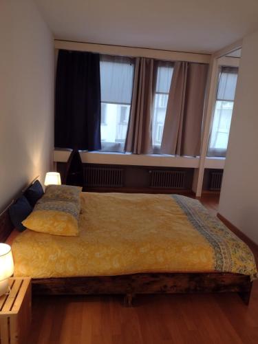 Cozy and Central flat in downtown Zurich