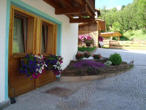 Zahrada ubytování B&B El Molin