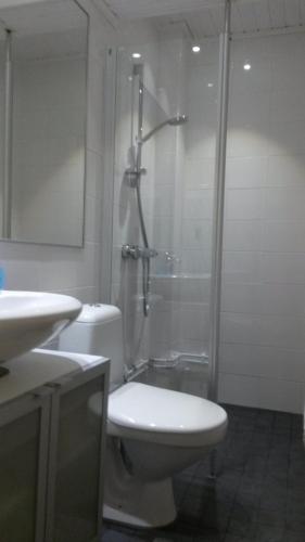 a bathroom with a toilet and a shower and a sink at Kyykerin Kartano in Outokumpu