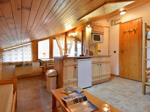 Studio chaleureux, ski aux pieds, animaux admis