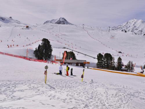 Appartement skis aux pieds, animaux admis