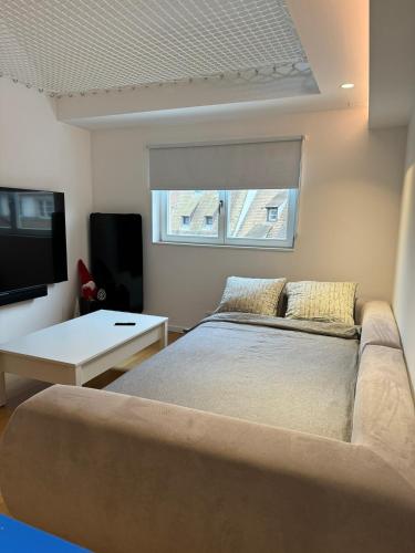 Appartement entier centre ville Strasbourg vue cathédrale