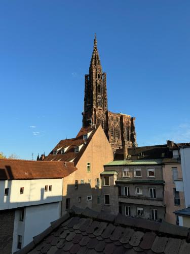 Appartement entier centre ville Strasbourg vue cathédrale