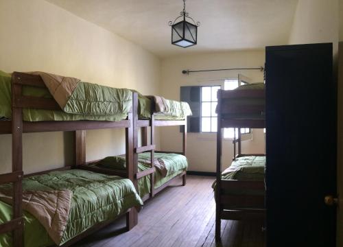 Giường tầng trong phòng chung tại Peter's Hostel