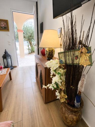Krezias Apartments K9 Zakynthos Down Town !!!
