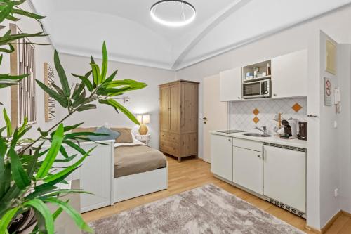 Bright Studio near Augarten - Near City Center - 5min to Metro U2