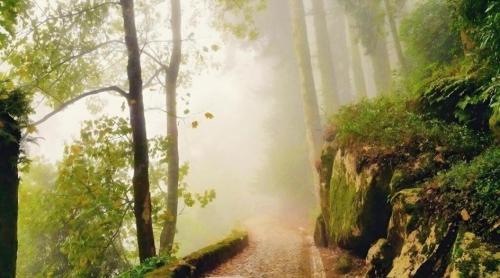 Sintra Stay by Me