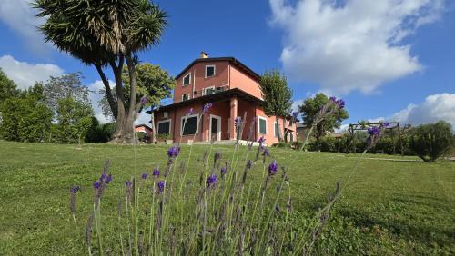 Casale,relax,oasi di pace
